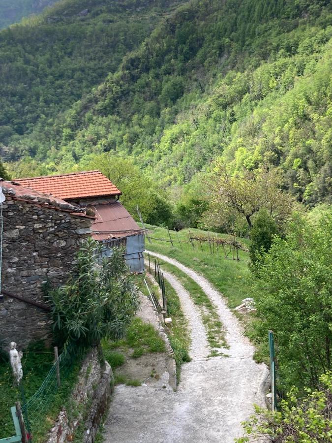 B&B Ameglia Garessio Εξωτερικό φωτογραφία